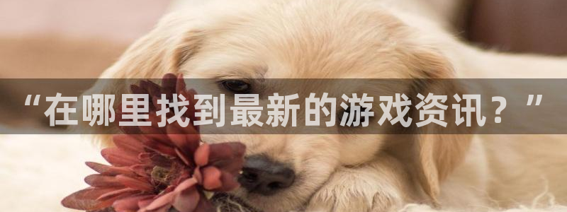 星欧娱乐开户测速：“在哪里找到最新的游戏资讯？”
