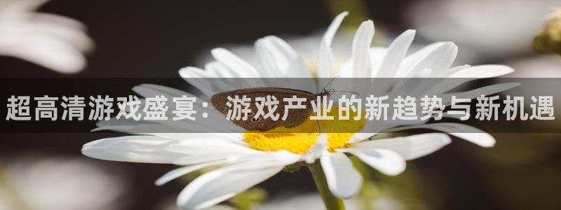 星欧娱乐登录：超高清游戏盛宴：游戏产业的新趋势与新机遇