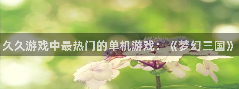 星欧娱乐平台登录线路：久久游戏中最热门的单机游戏：《梦幻三国