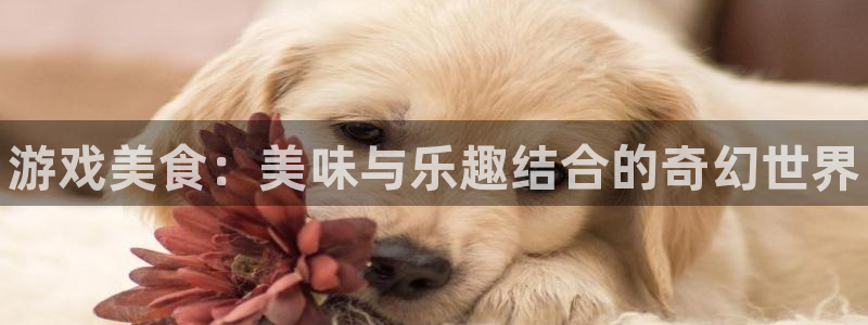 星欧娱乐平台：游戏美食：美味与乐趣结合的奇幻世界