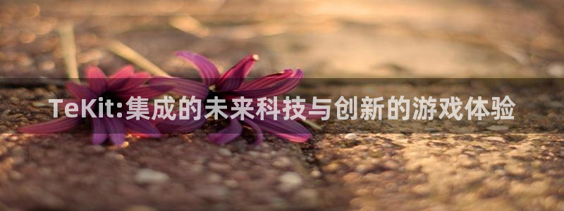 星欧娱乐开户测速：TeKit:集成的未来科技与创新的游戏体验