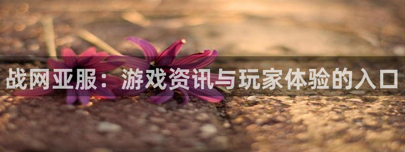 星欧娱乐注册官方登录app：战网亚服：游戏资讯与玩家体验的入