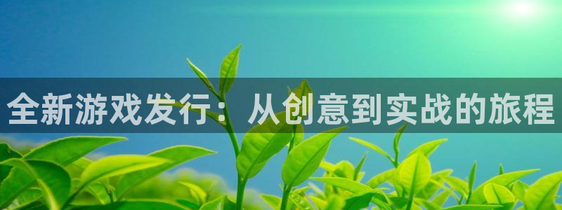 手机版星欧娱乐客户端下载：全新游戏发行：从创意到实战的旅程