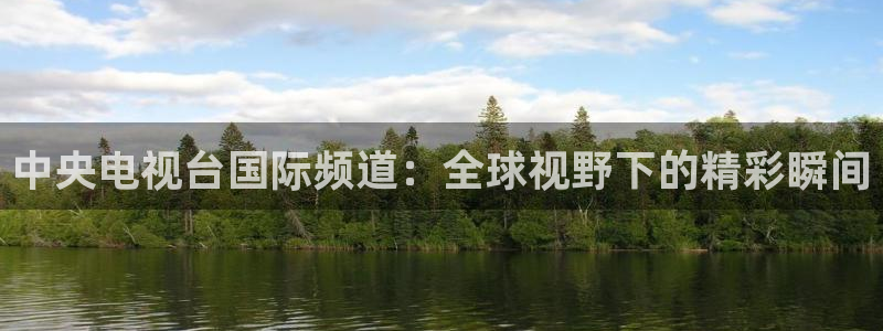 833足球直播免费完整