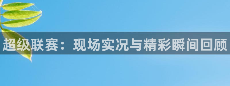 nba833直播