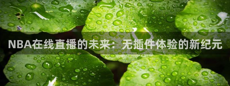 833足球直播比赛在线观看：NBA在线直播的未来：无插件体验的新纪元